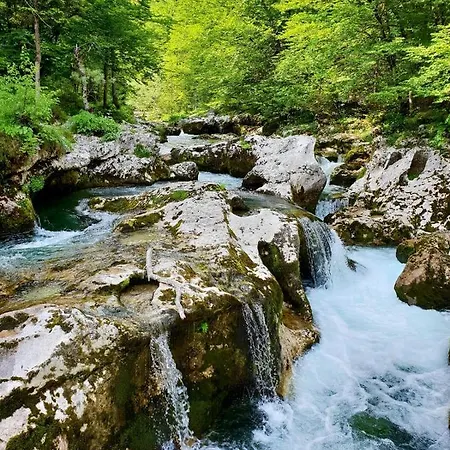 Apartament Hisa Lojz Zaga