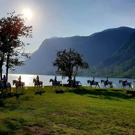 Hisa Lojz アパート *