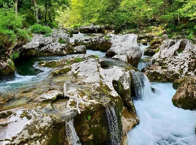 Apartman Hisa Lojz Žaga