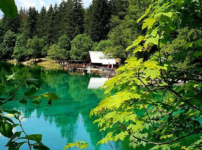 דירה Hisa Lojz Zaga